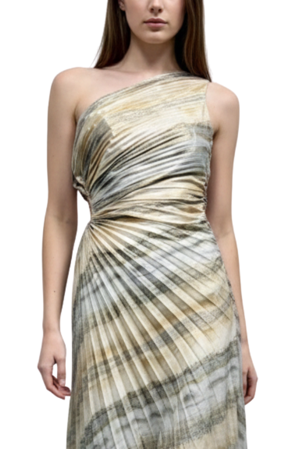 The Metallic Print Pleated Dress