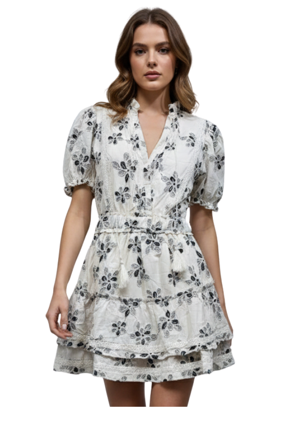 The Alessandra Embroidered Ruffle Mini Dress - pookie and sebastian